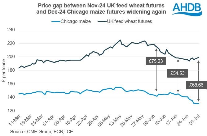 Chart showing Nov-24 UK feed wheat futures and Dec-24 Chicago maize futures prices